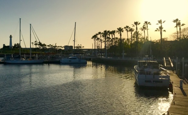 SEO for Tech Startups in Long Beach