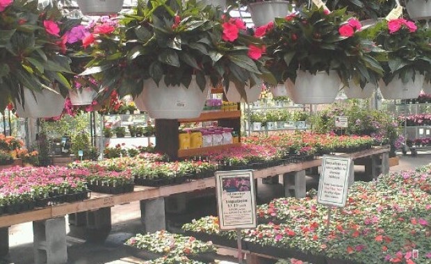SEO for Flower Shops in Syracuse