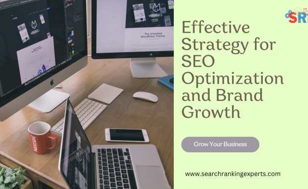 Effective Strategy for SEO Optimization and Brand Growth