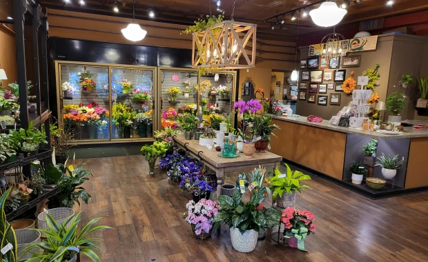 SEO For Flower Shops In Tallahassee