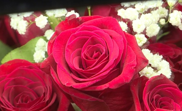 SEO for Flower Shops in Colorado Springs