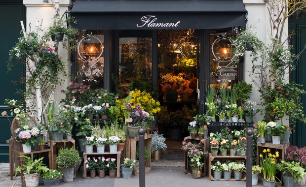 SEO For Flower Shops in Providence