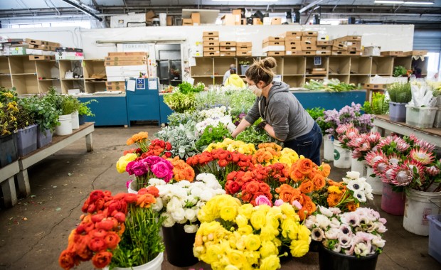 SEO for Flower Shops In San Jose