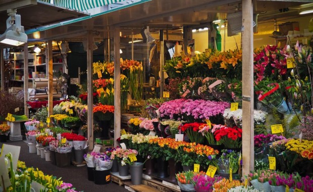 SEO For Flower Shops in Tampa