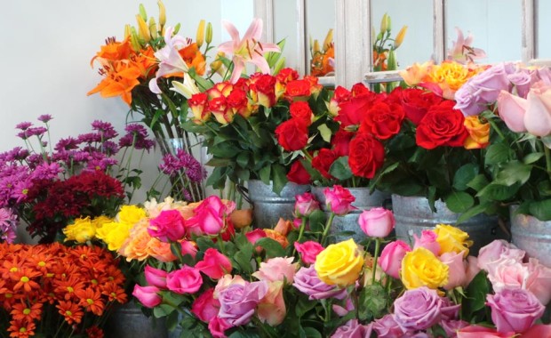 SEO for Flower Shops in Raleigh