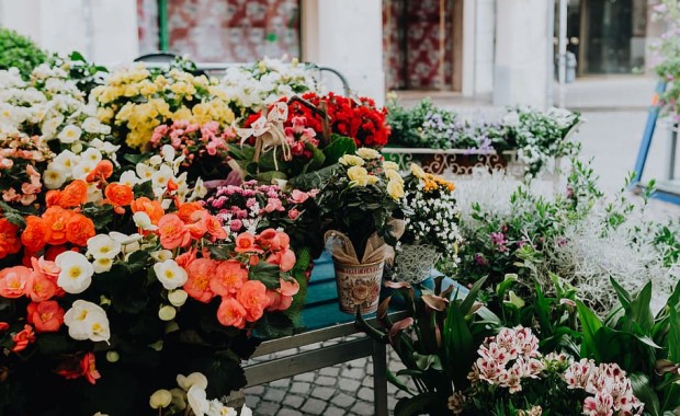 SEO for Flower Shops in Anchorage