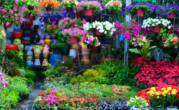 SEO for Flower Shops in Plano