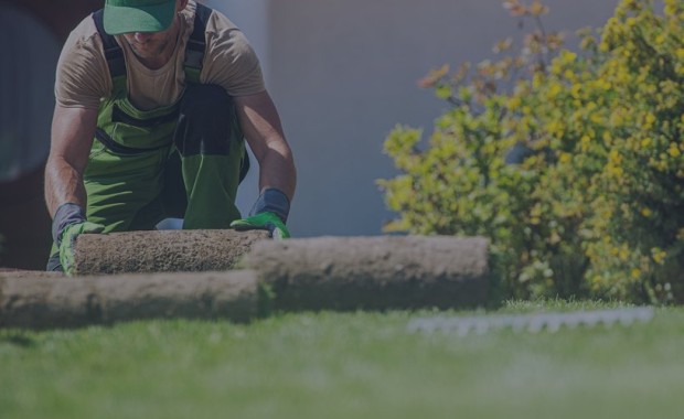 SEO for Lawn Care Services In Los Angeles