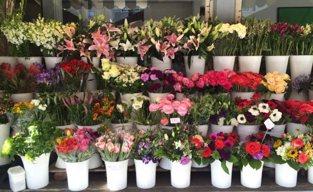 SEO for Flower Shops in San Francisco