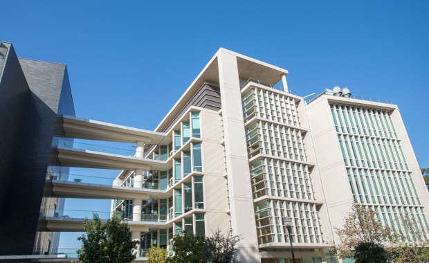 SEO For Institutes In St Paul