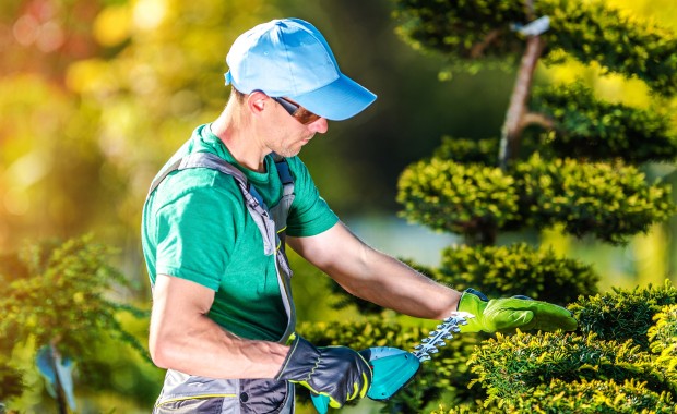SEO For Landscaping Services in Fayetteville