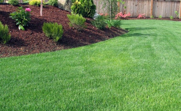 SEO For Landscaping Services in Memphis