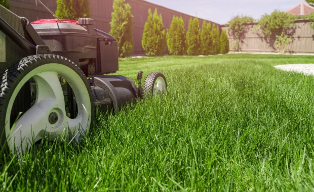 SEO For Landscaping Services in Omaha