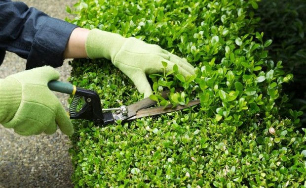 SEO for Landscaping Services in Oklahoma City