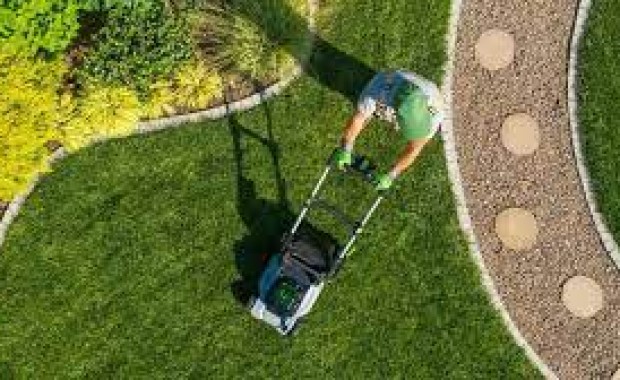 SEO For Lawn Care Services In Buffalo