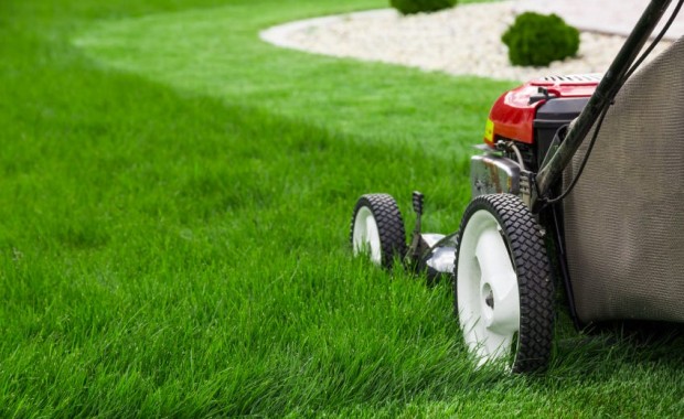 SEO for Lawn Care Services in Tucson