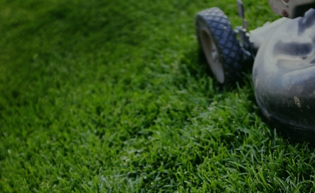 SEO for Lawn Care Services in Colorado Springs