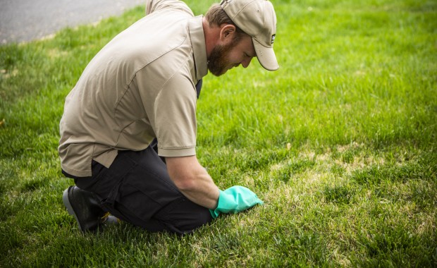 SEO For Lawn Care Services in Columbus