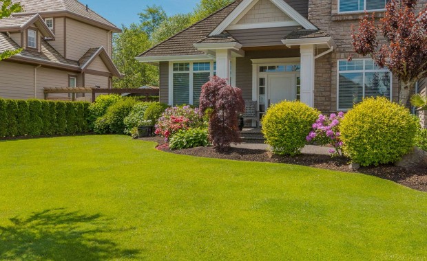 SEO for Lawn Care Services in Jersey City