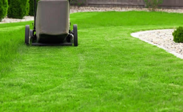 SEO for Lawn Care Services in Mesa