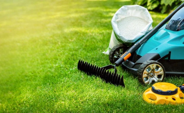 SEO for Lawn Care Services in Norfolk