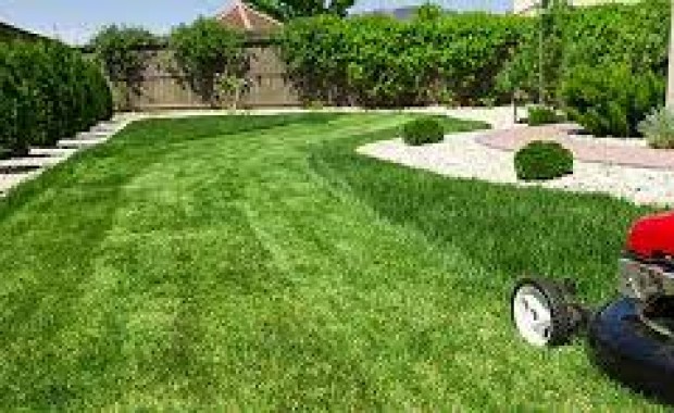 SEO For Lawn Care Services in Omaha