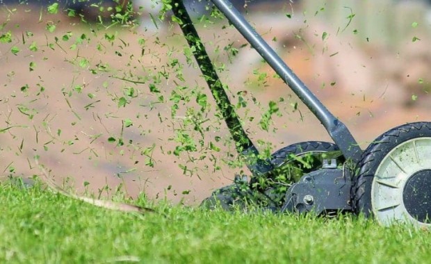 SEO For Lawn Care Services In Salt Lake City