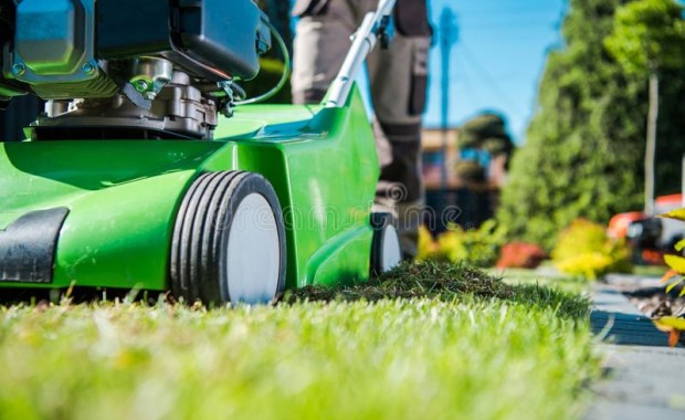SEO for Lawn Care Services in Plano