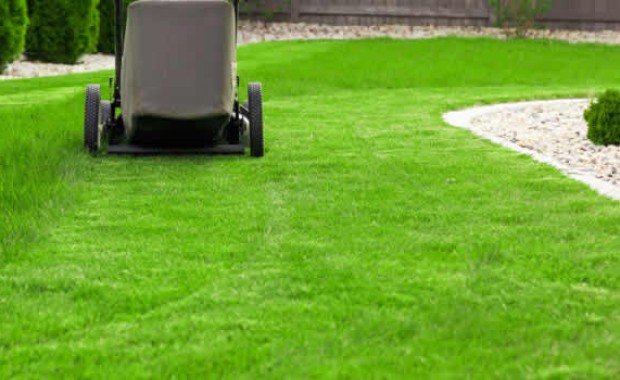 SEO for Lawn Care Services in Long Beach