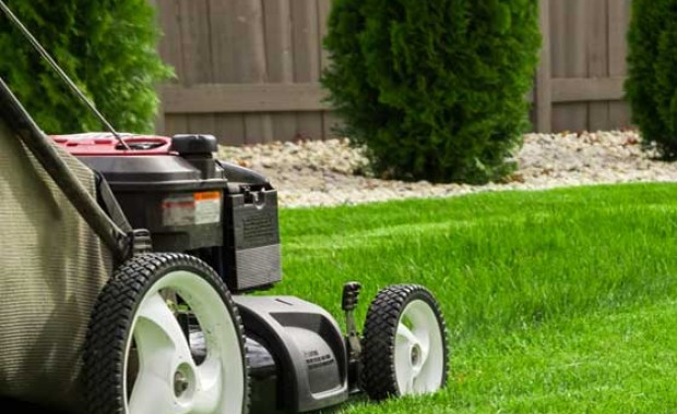 SEO for Landscaping services in Syracuse