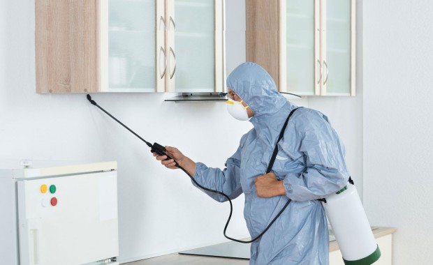 SEO for Pest Control Services In Birmingham