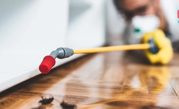 SEO For Pest Control Services in Columbus