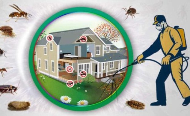 SEO For Pest Control Services in Omaha