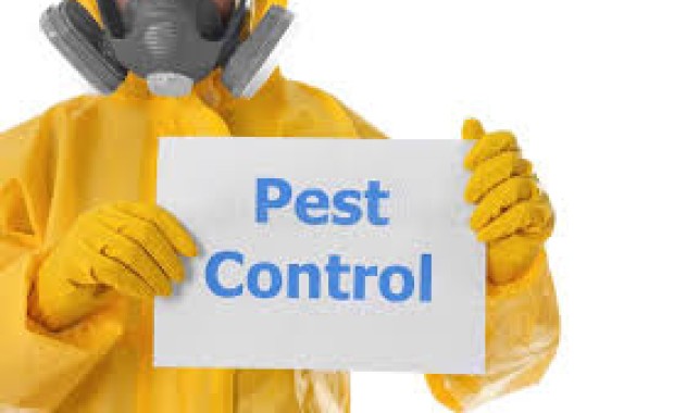 SEO for Pest Control Services in Chattanooga