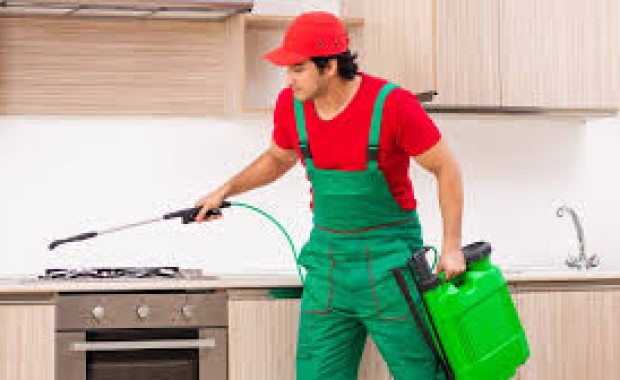 SEO for Pest Control Services in Oklahoma City