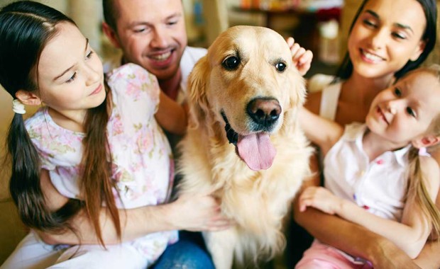 SEO for Pet Services in Fort Lauderdale