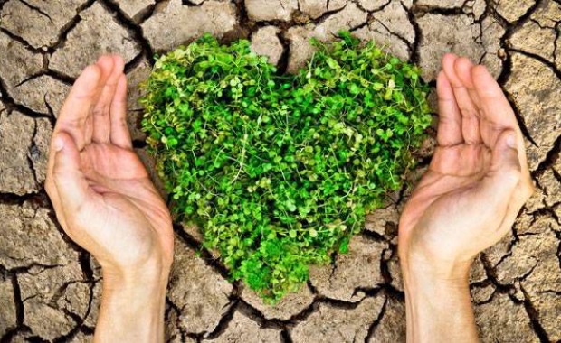 SEO For Charities In Chandler