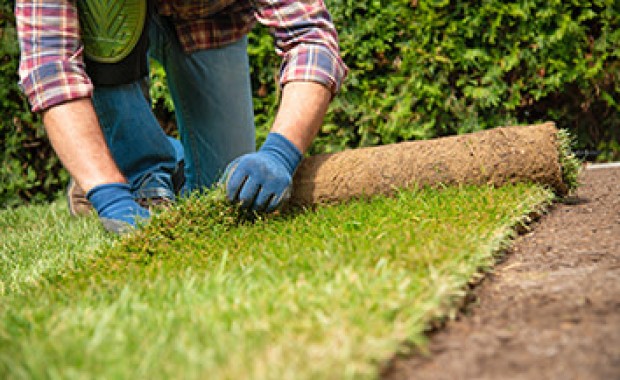 SEO for Landscaping Services in Stockton