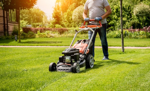 SEO For Lawn Care Services In Chandler