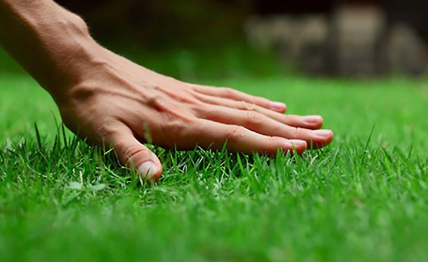 SEO for Lawn Care Services in Oakland