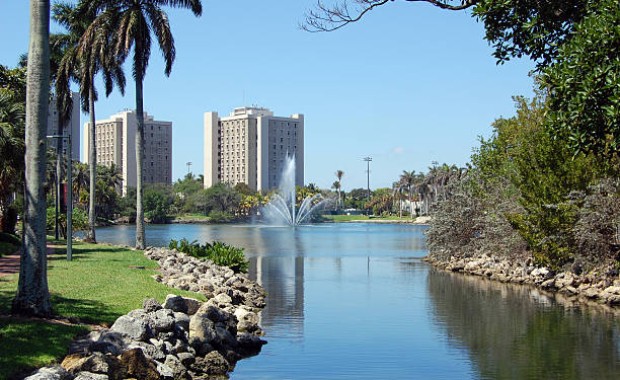SEO For Universities In Miami