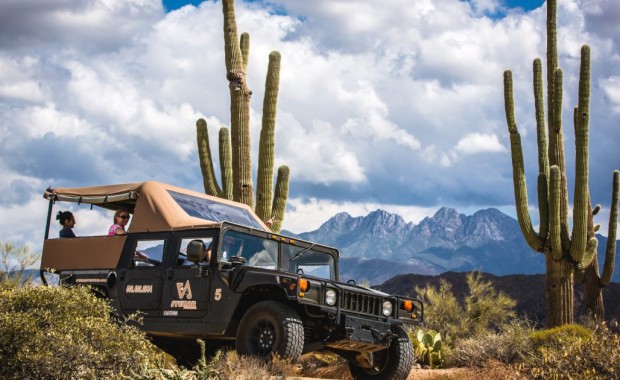 SEO for Tour Operators in Mesa