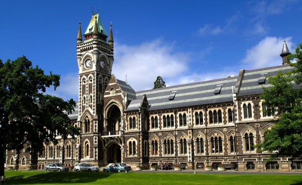 SEO For Universities In Chandler